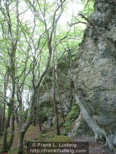 Dooney Rock, Lough Gill, County Sligo